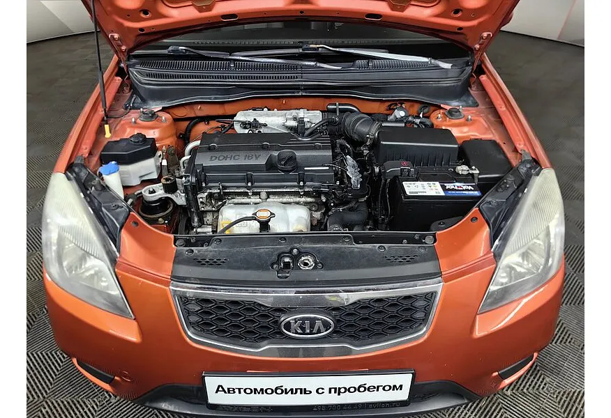 LIVE. Слайд №17