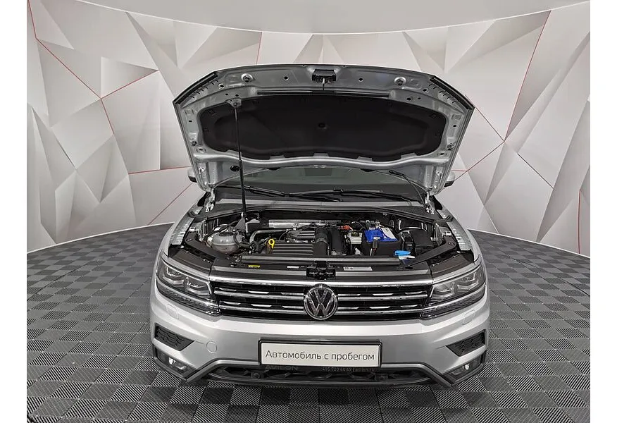 LIVE. Слайд №19