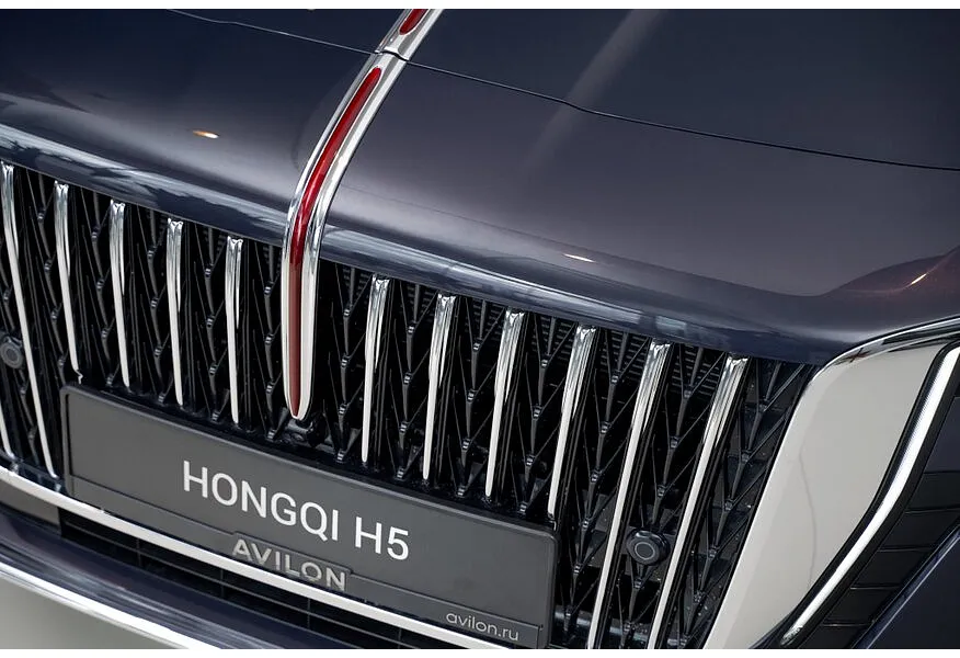 Hongqi H5 2.0 AT (218 л.с.) Deluxe Plus Коричневый в АВИЛОН. Слайд №9