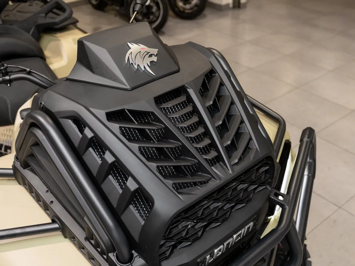 Loncin Xwolf 1000 976 см³ (98 л.с.) 98 976 Желтый в АВИЛОН. Слайд №11
