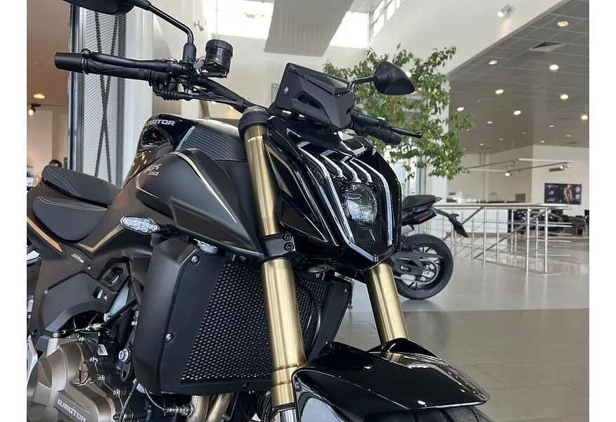 LIVE. Слайд №15