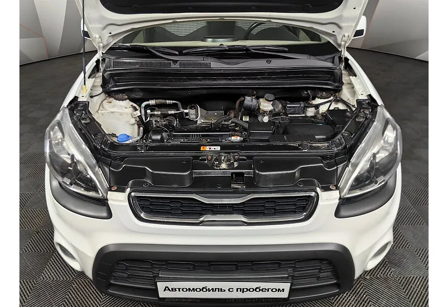 LIVE. Слайд №18