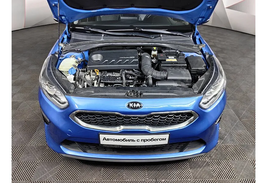 LIVE. Слайд №19