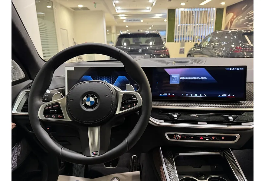 BMW X5 xDrive30d Steptronic (286 л.с.) Серый в АВИЛОН. Слайд №8