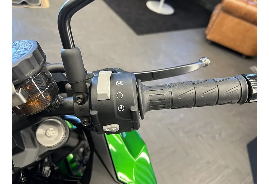 Kawasaki Z H2 998 см³ (200 л.с.) (200) 998 Серый в АВИЛОН. Слайд №3