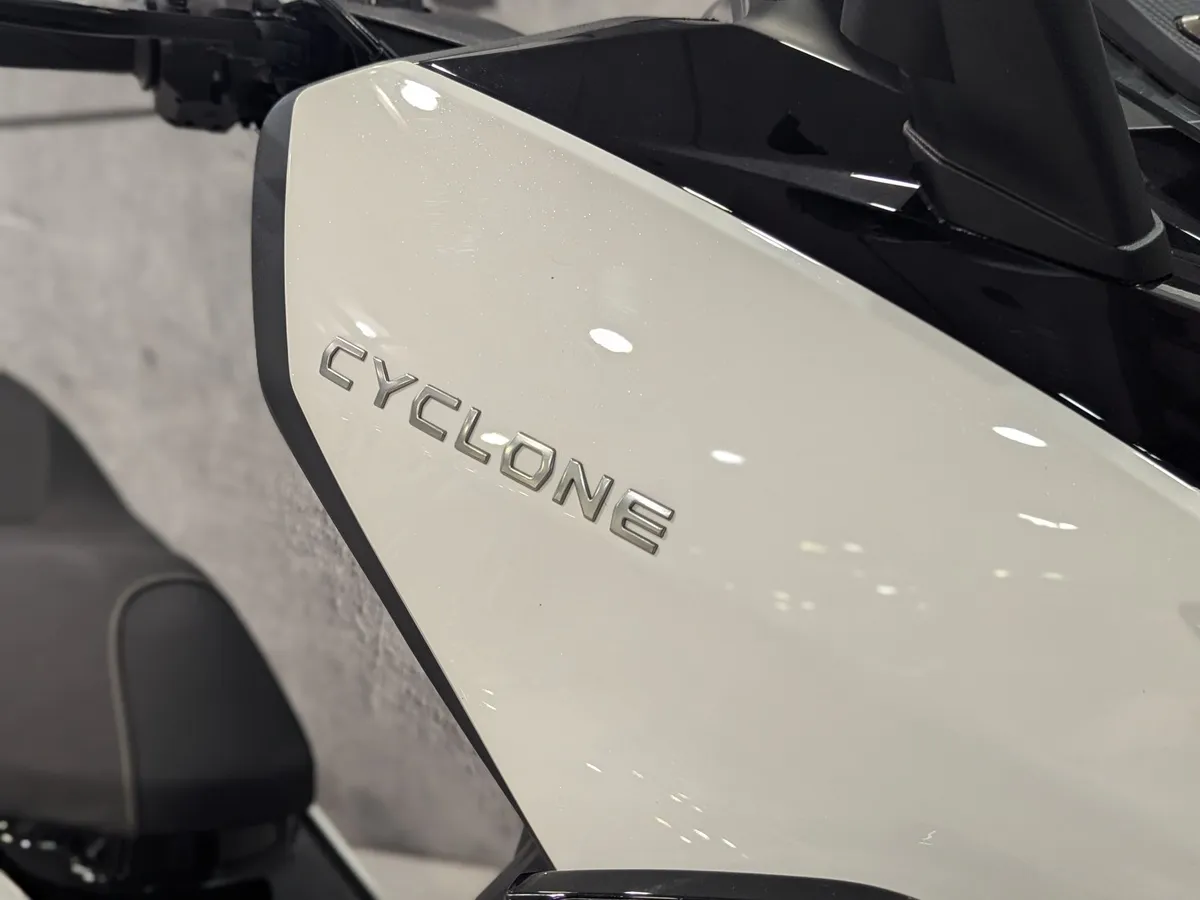 Cyclone RT3S 289 см³ (25 л.с.) (25) 289 Белый в АВИЛОН. Слайд №2