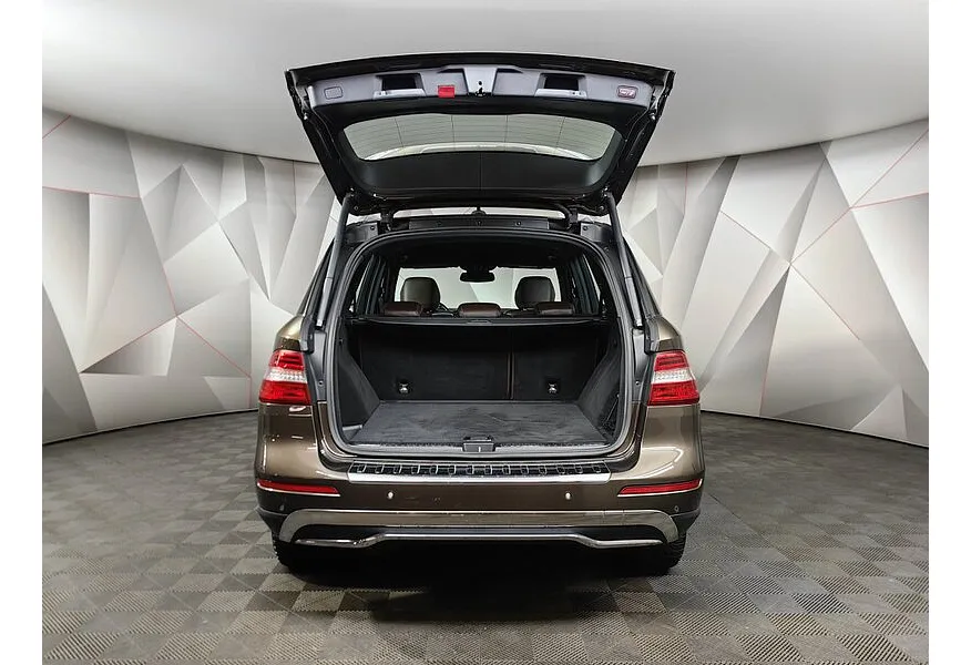 LIVE. Слайд №19