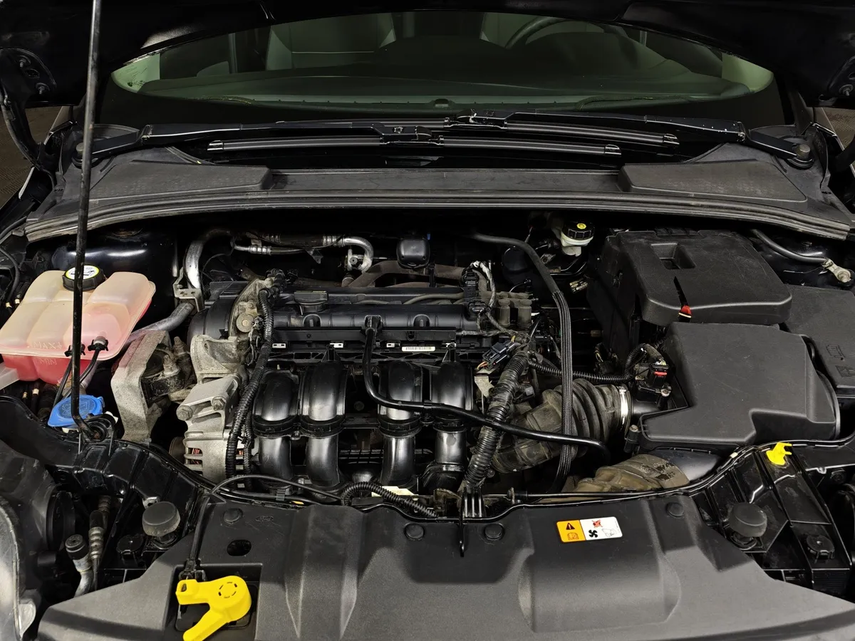 Ford Focus 1.6 MT (125 л.с.) Trend Черный в АВИЛОН. Слайд №11