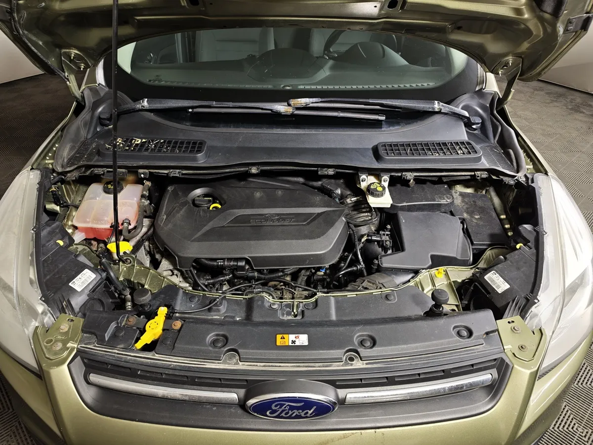 Ford Kuga 1.5 EcoBoost AT AWD (150 л.с.) Trend Plus Зеленый в АВИЛОН. Слайд №11