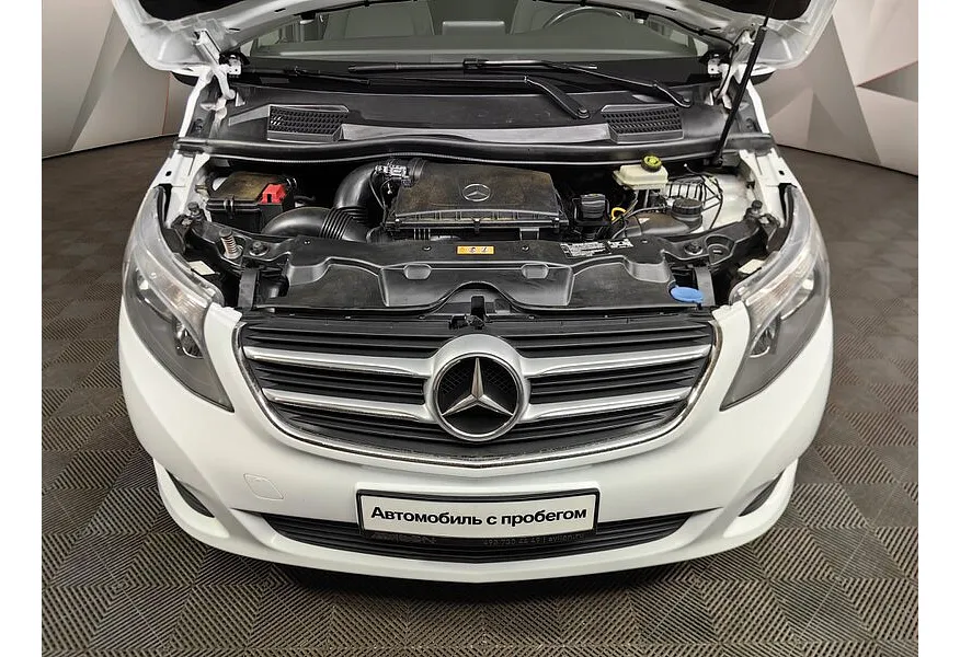 LIVE. Слайд №19