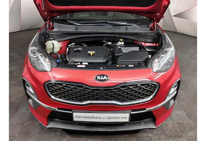 LIVE. Слайд №18