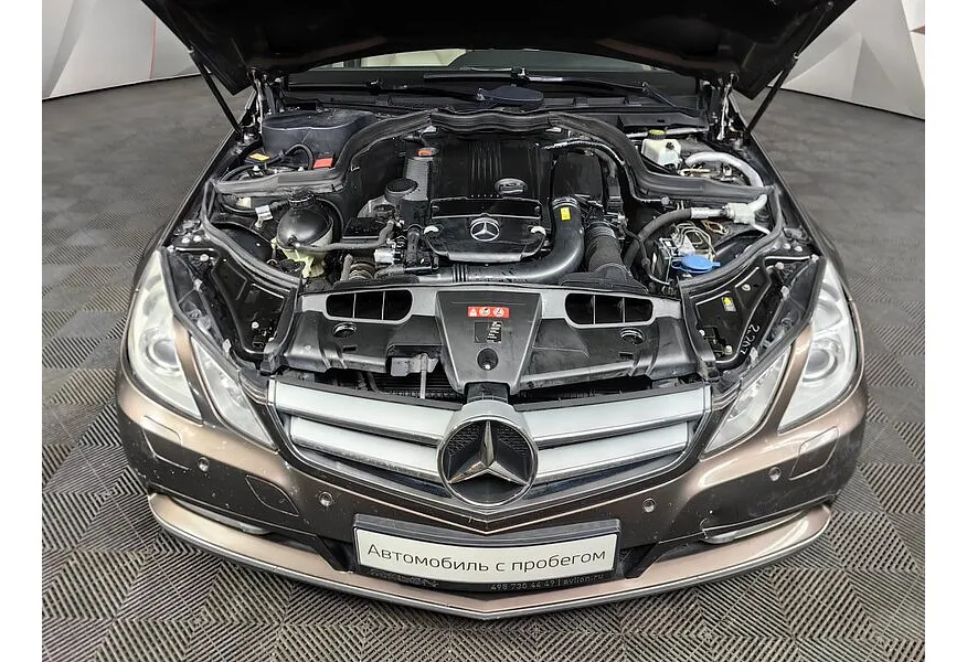 LIVE. Слайд №16