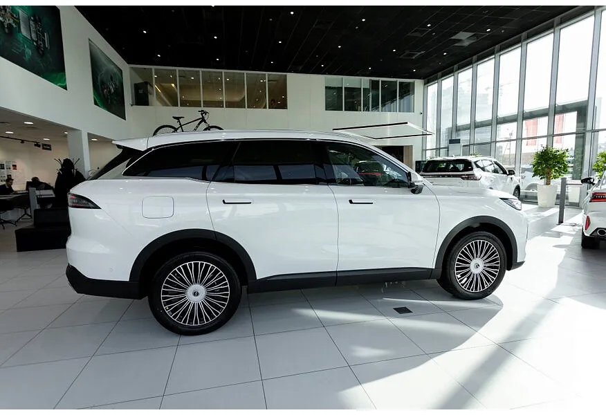 LIVE. Слайд №7