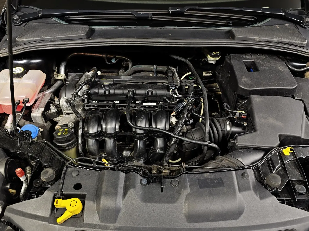Ford Focus 1.6 Ti-VCT PowerShift (125 л.с.) Trend Черный в АВИЛОН. Слайд №11