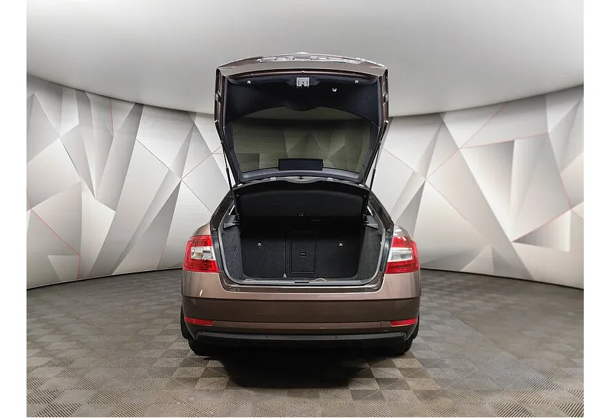 АВИЛОН - Skoda Octavia 1.8 TSI DSG (180 л.с.) Коричневый - slide 16