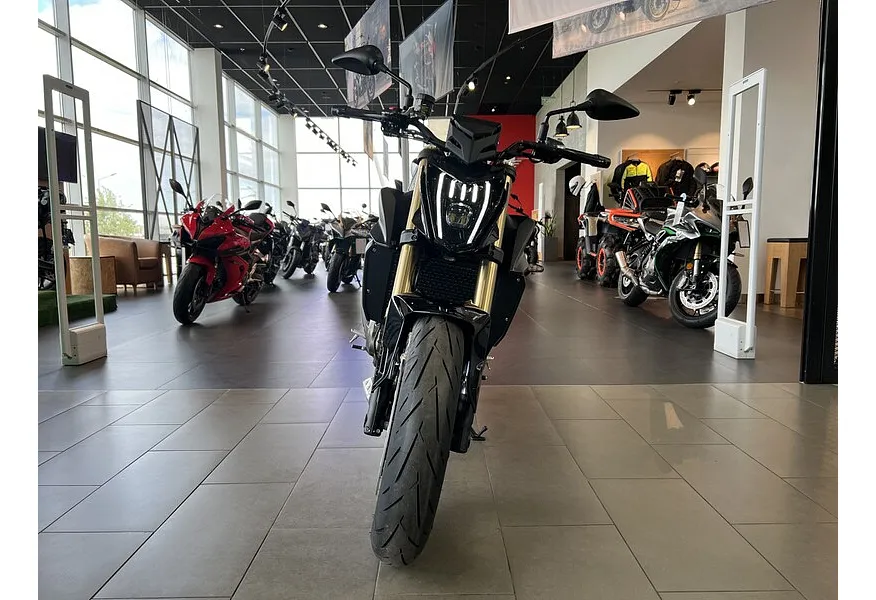 LIVE. Слайд №5