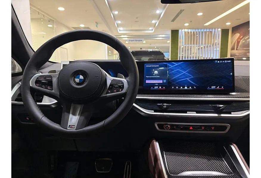 BMW X6 xDrive30d AT (285 л.с.) Серый в АВИЛОН. Слайд №8