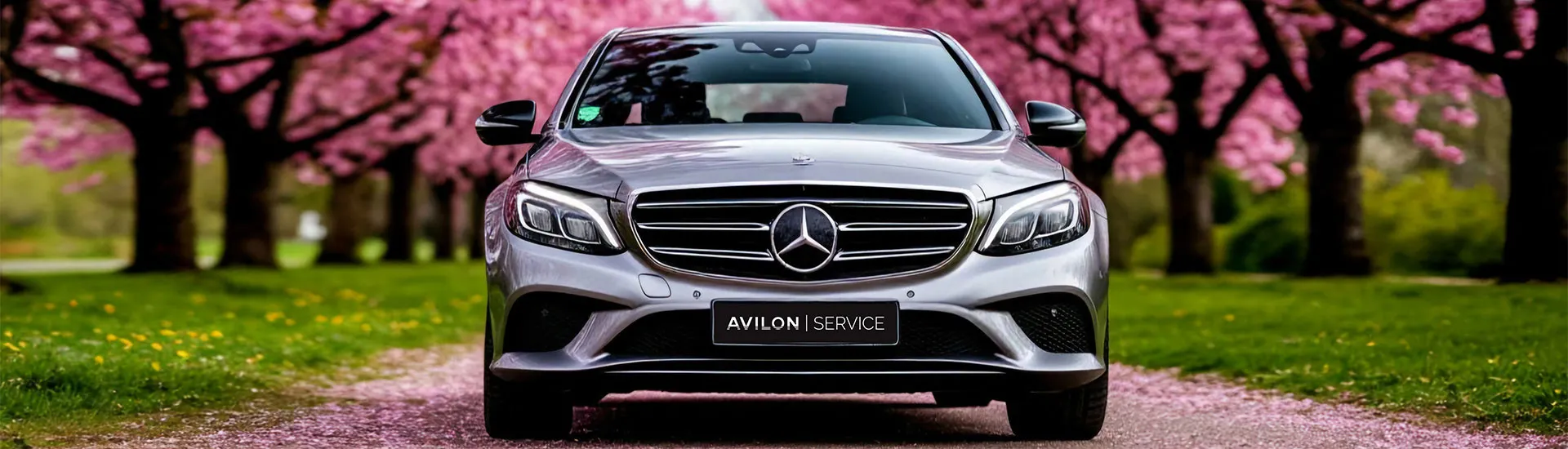 ВЕСЕННИЙ СЕРВИC MERCEDES-BENZ 