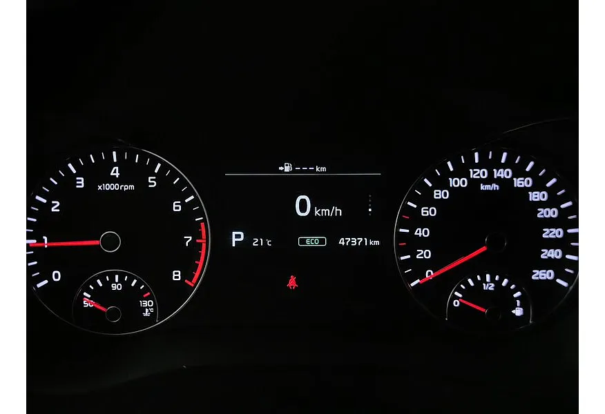 LIVE. Слайд №20