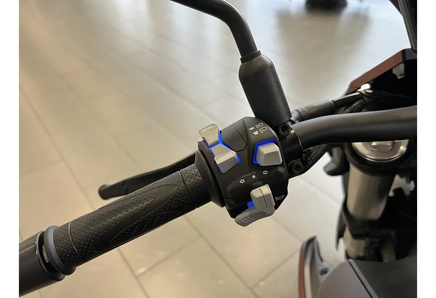 QJMOTOR SRK 700 700 см³ (73 л.с.) 700 Красный в АВИЛОН. Слайд №9