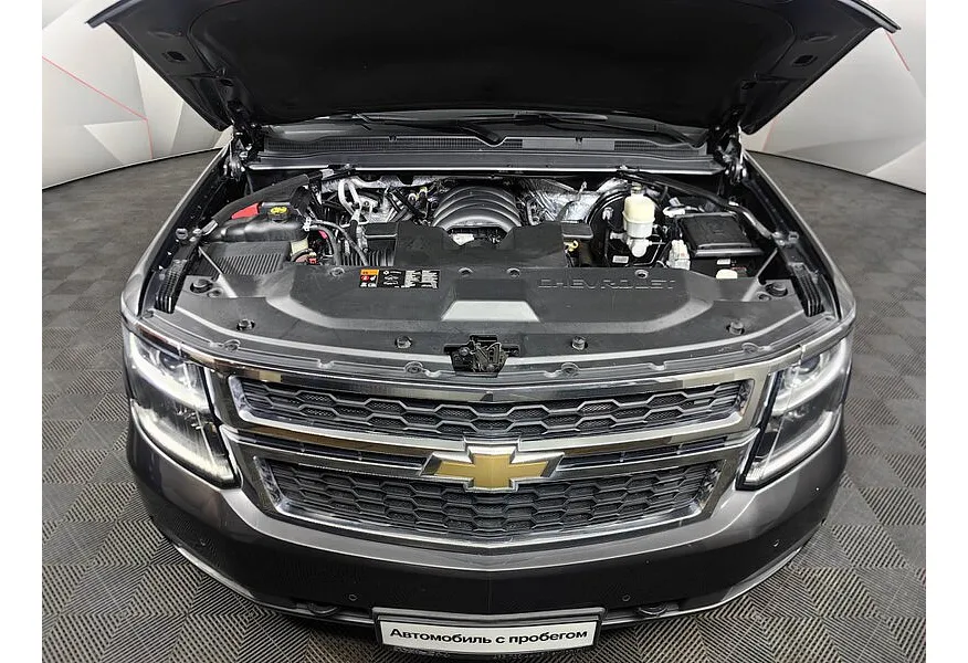 LIVE. Слайд №19