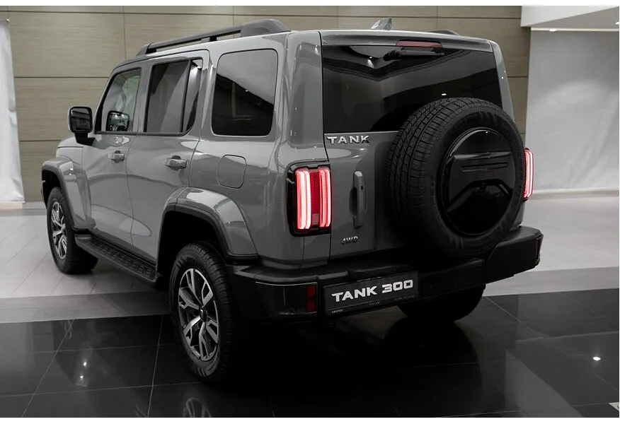 TANK 300 2.0T AT 4WD (220 л.с.) Сити Драйв Серый в АВИЛОН. Слайд №6