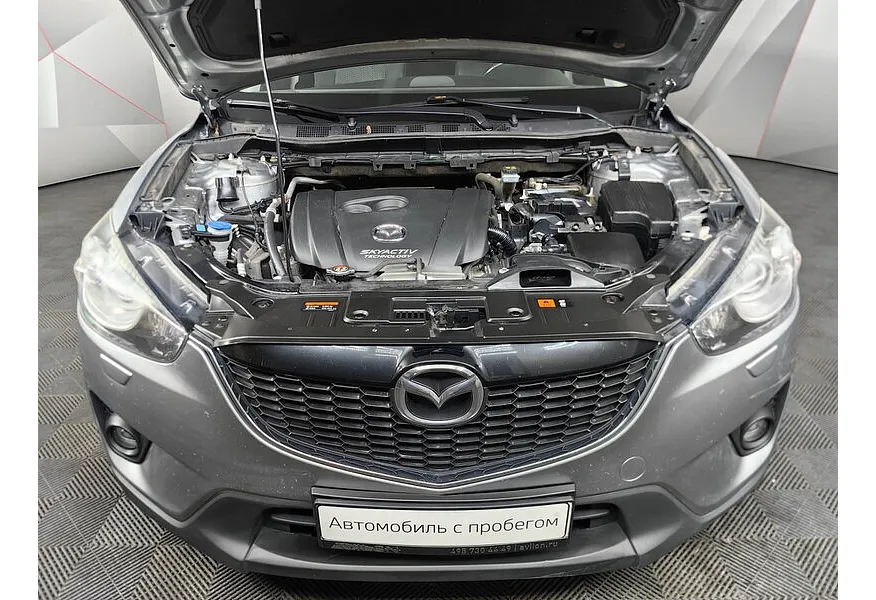 LIVE. Слайд №18