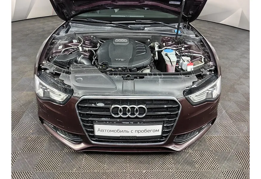 LIVE. Слайд №17