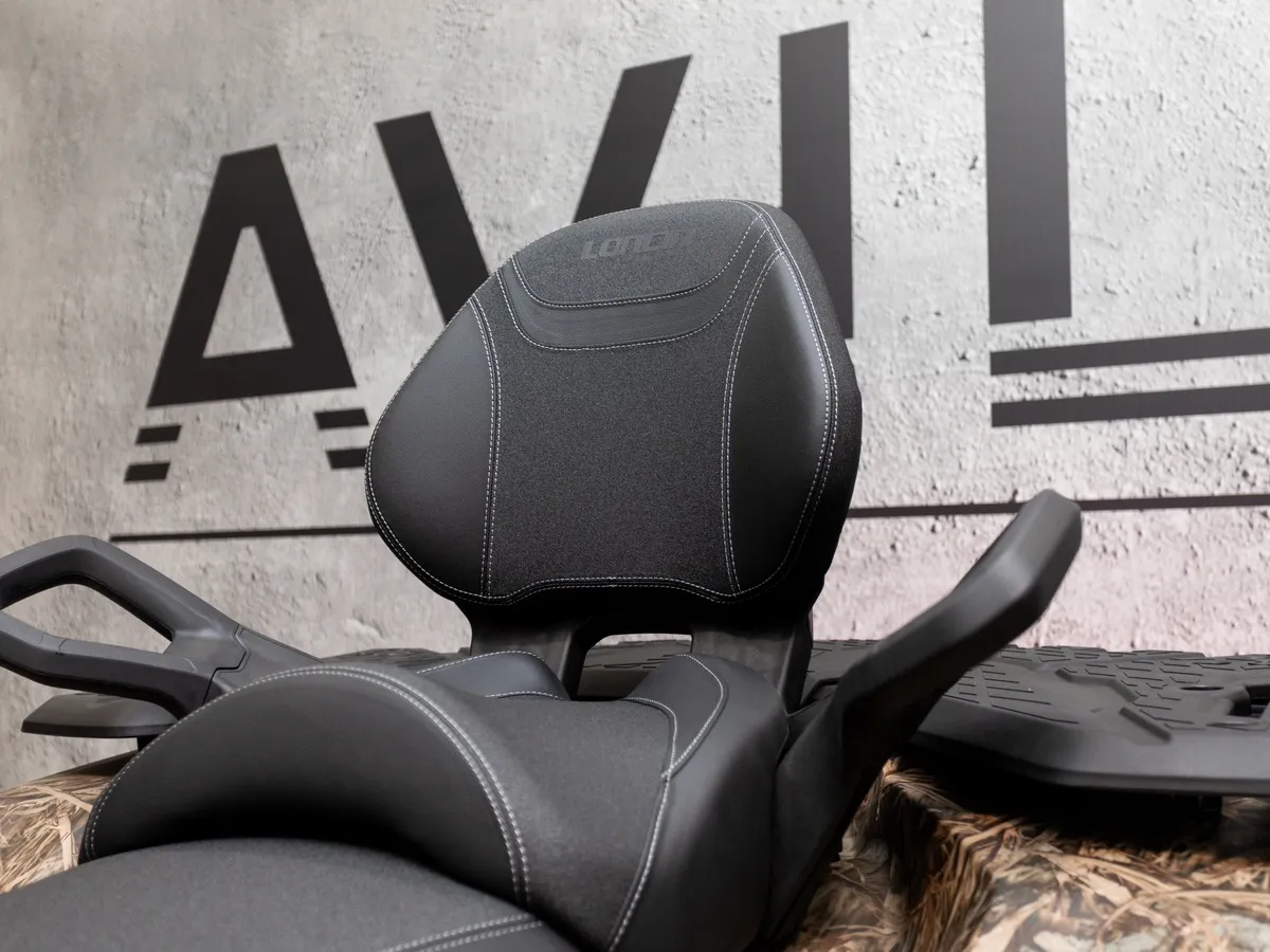 Loncin Xwolf 1000 976 см³ (98 л.с.) 98 976 Коричневый в АВИЛОН. Слайд №10
