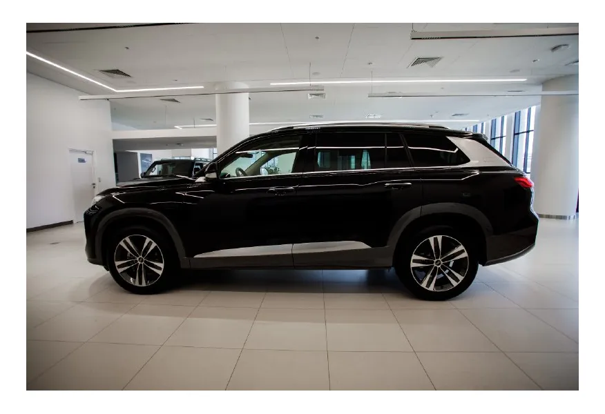 LIVE. Слайд №3