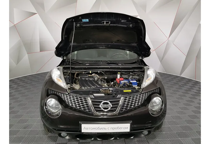 LIVE. Слайд №17