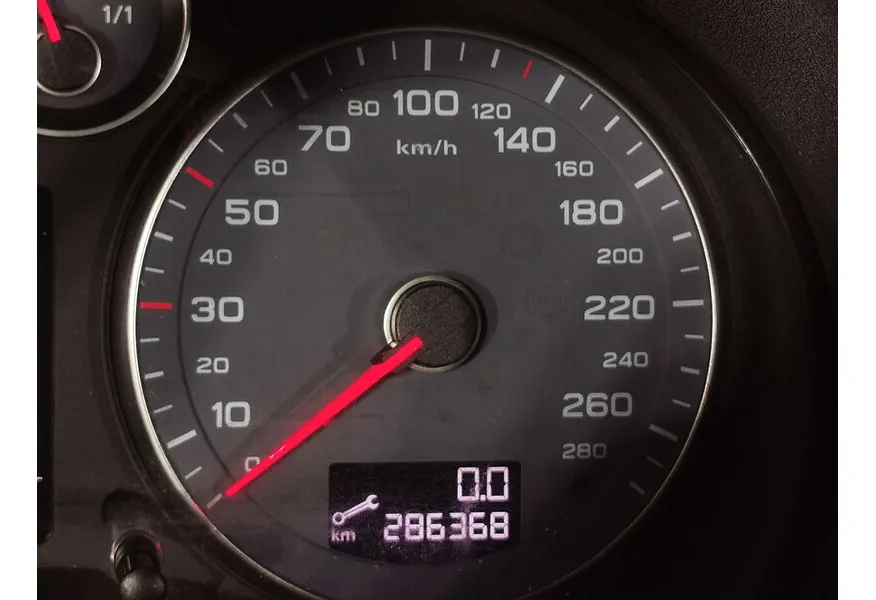 LIVE. Слайд №20