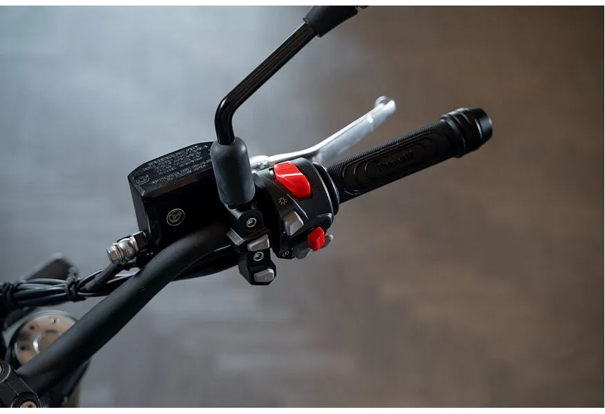 Benelli Leoncino 800 754 см³ (76 л.с.) (76) 754 Зеленый в АВИЛОН. Слайд №15