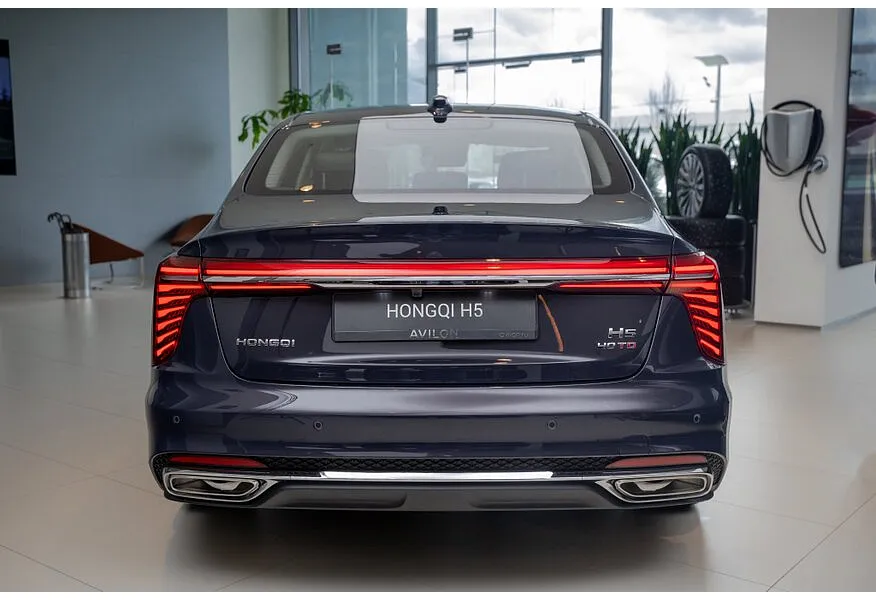 Hongqi H5 2.0 AT (218 л.с.) Deluxe Plus Коричневый в АВИЛОН. Слайд №4