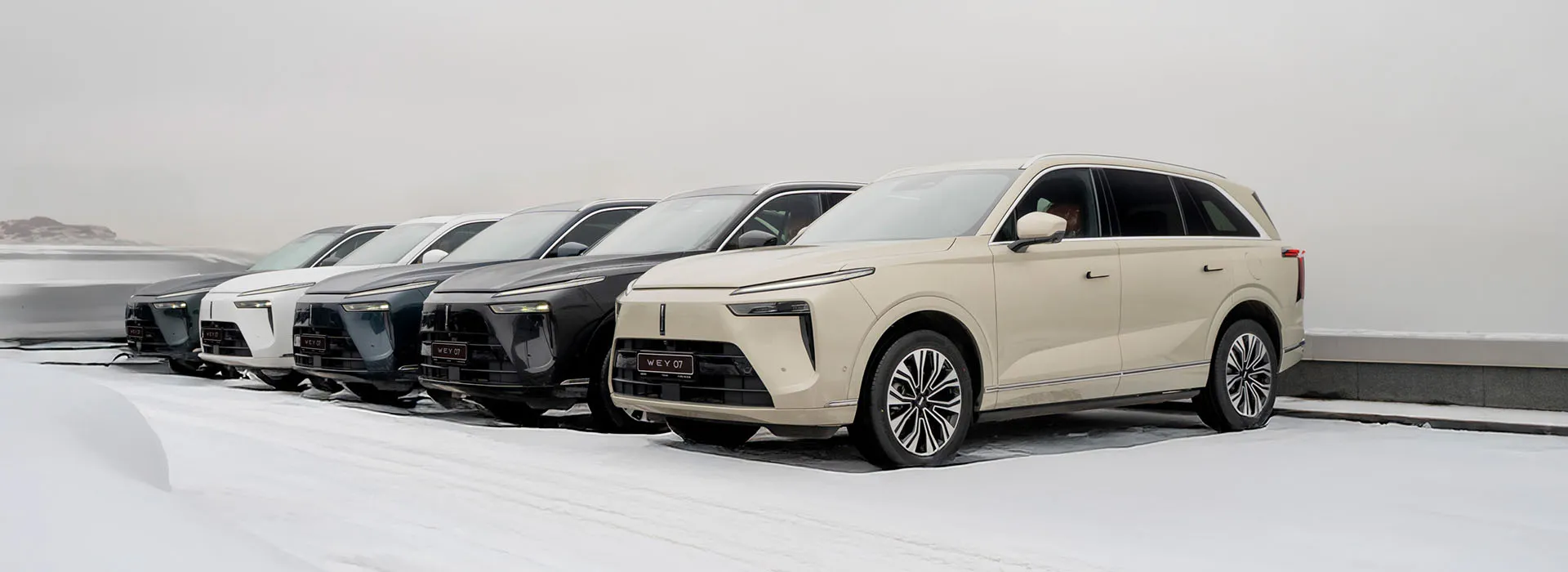 Успейте стать одним из последних счастливых обладателей нового WEY 07