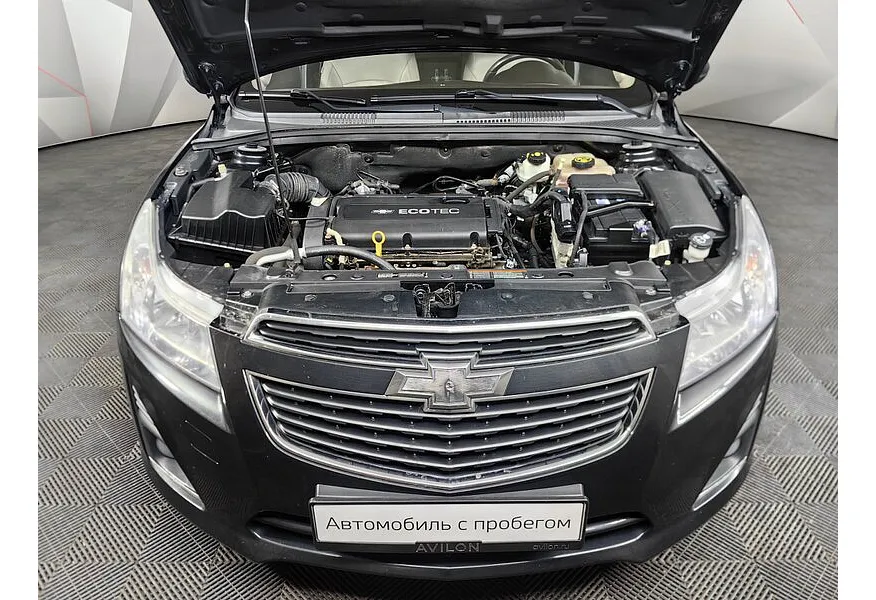 LIVE. Слайд №18