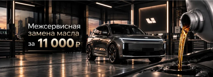 Межсервисная замена масла Li Auto за 11 000 ₽
