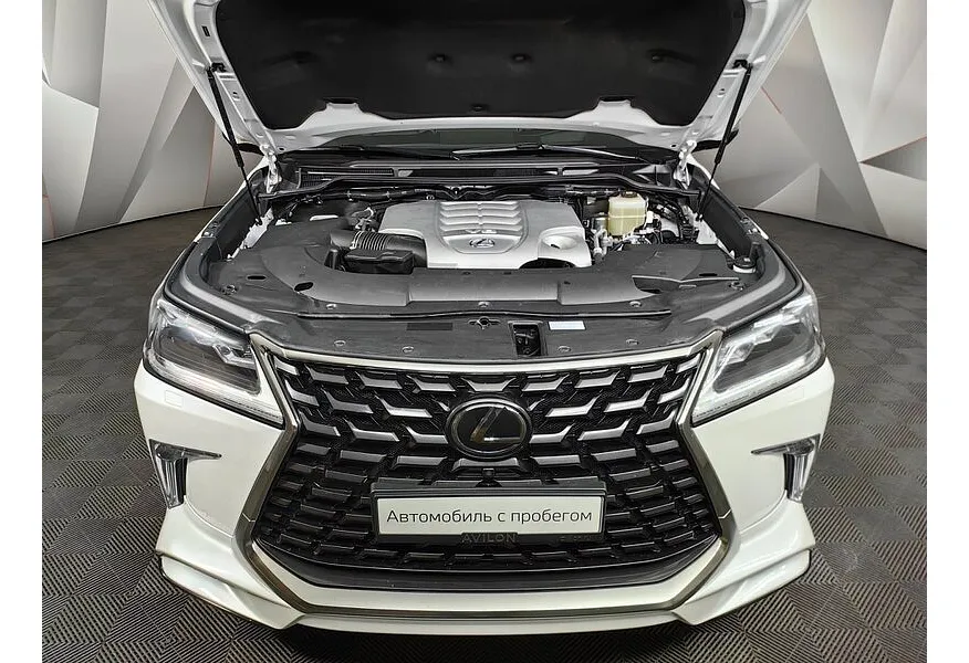 LIVE. Слайд №19