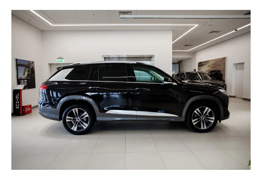 LIVE. Слайд №4