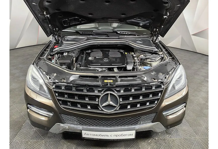 LIVE. Слайд №18