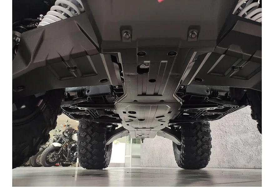 Loncin Xwolf 1000 976 см³ (98 л.с.) 98 976 Коричневый в АВИЛОН. Слайд №8