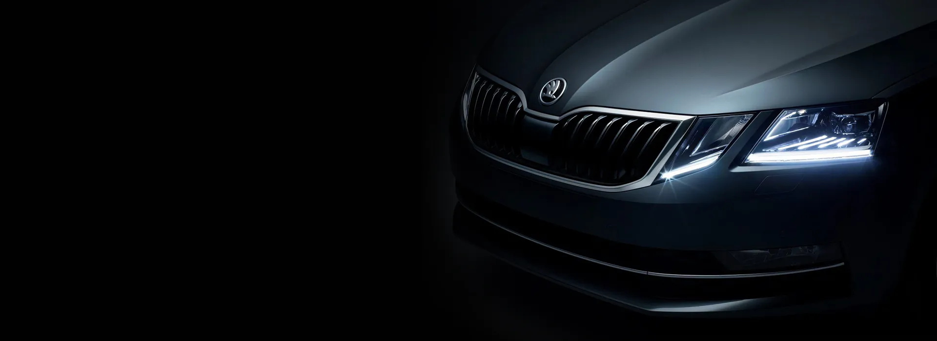 Пора на сервис Skoda в АВИЛОН