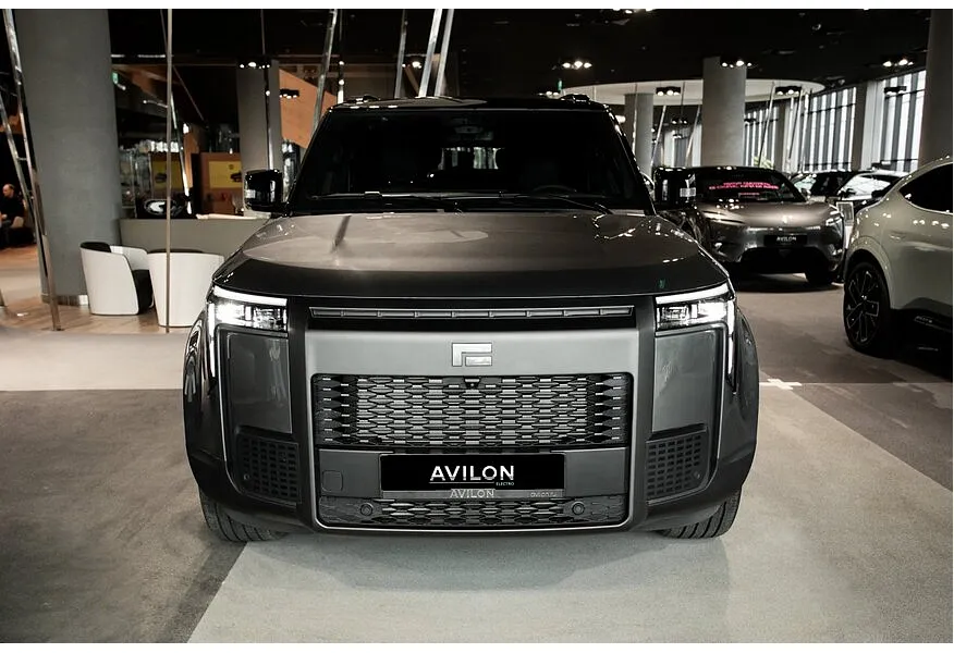 ROX 01 1.5 AT 4WD (475 л.с.) 7 мест Family Серый в АВИЛОН. Слайд №3