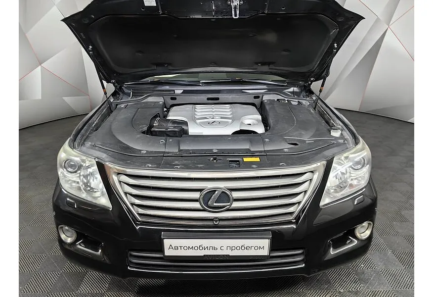 LIVE. Слайд №19