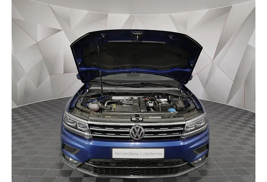 LIVE. Слайд №19