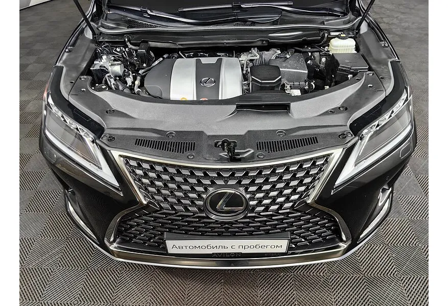 LIVE. Слайд №18