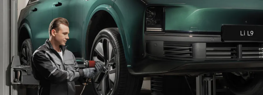 Весенний пакет для Li Auto