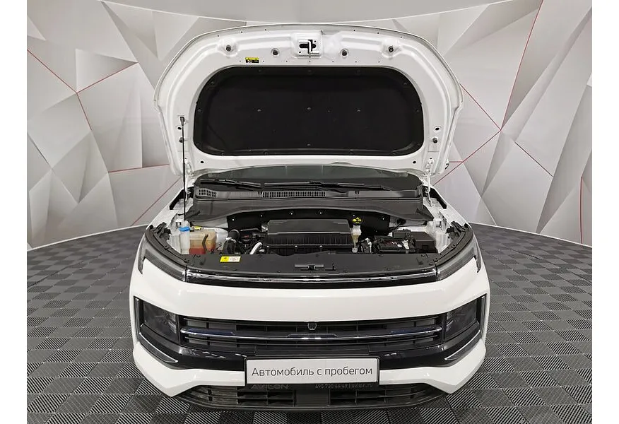 LIVE. Слайд №19