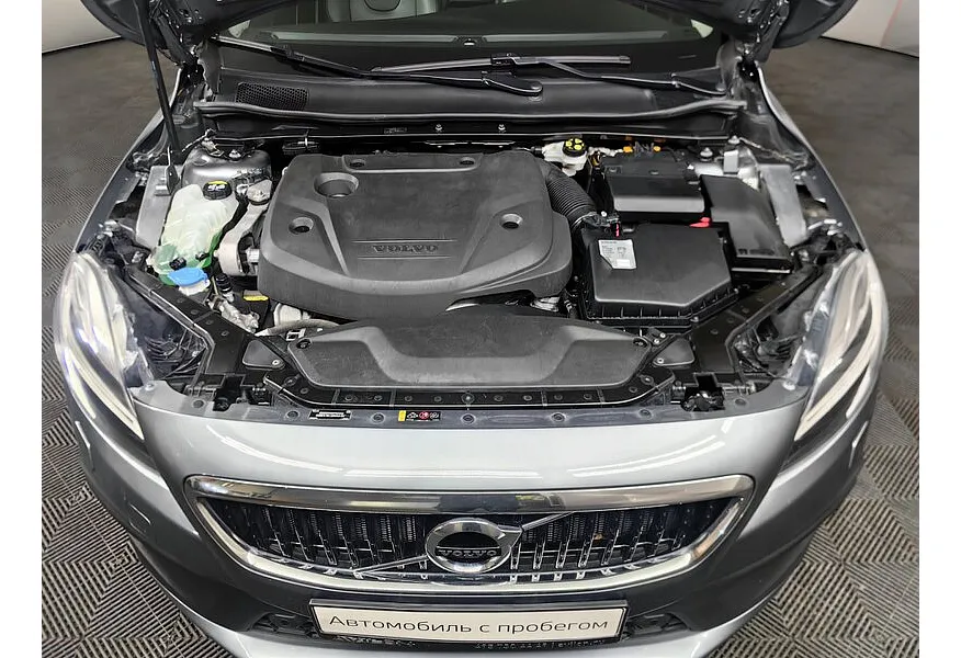 LIVE. Слайд №18