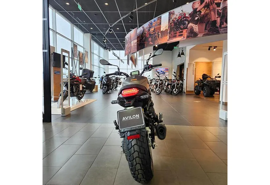 LIVE. Слайд №6